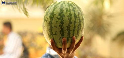 娱乐大瓜在线吃